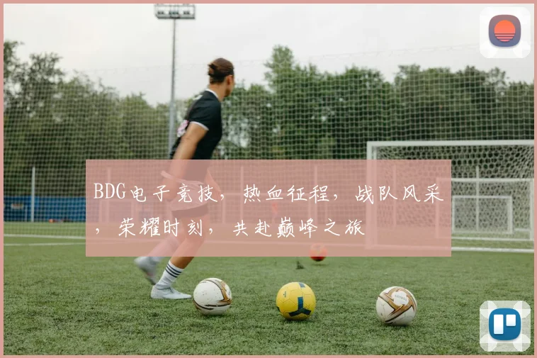 BDG电子竞技，热血征程，战队风采，荣耀时刻，共赴巅峰之旅