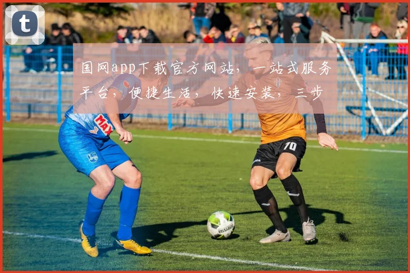 国网app下载官方网站，一站式服务平台，便捷生活，快速安装，三步搞定，体验无忧，推荐必看