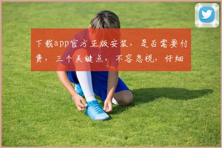 下载app官方正版安装，是否需要付费，三个关键点，不容忽视，仔细阅读。