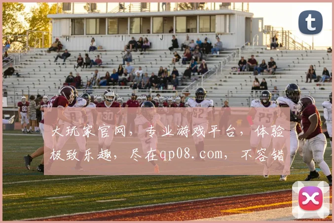 大玩家官网，专业游戏平台，体验极致乐趣，尽在qp08.com，不容错过