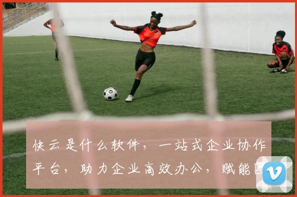 快云是什么软件，一站式企业协作平台，助力企业高效办公，赋能团队创新，引领行业潮流，值得了解